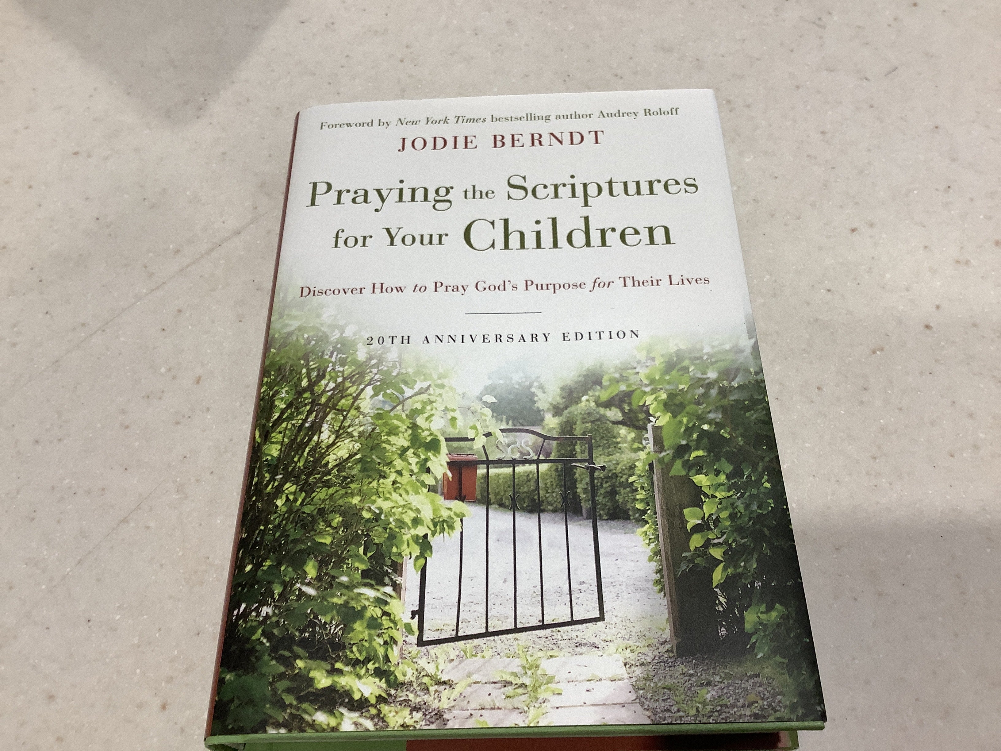 Praying the Scriptures for your children by Jodie Berndt