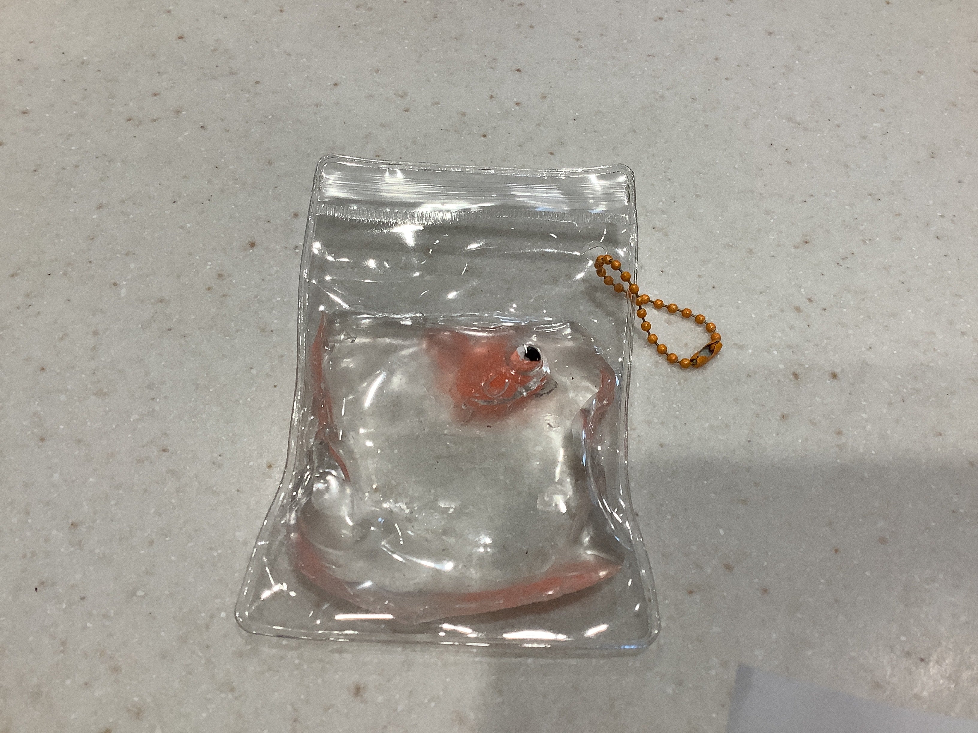 Fish Squishy in a Bag