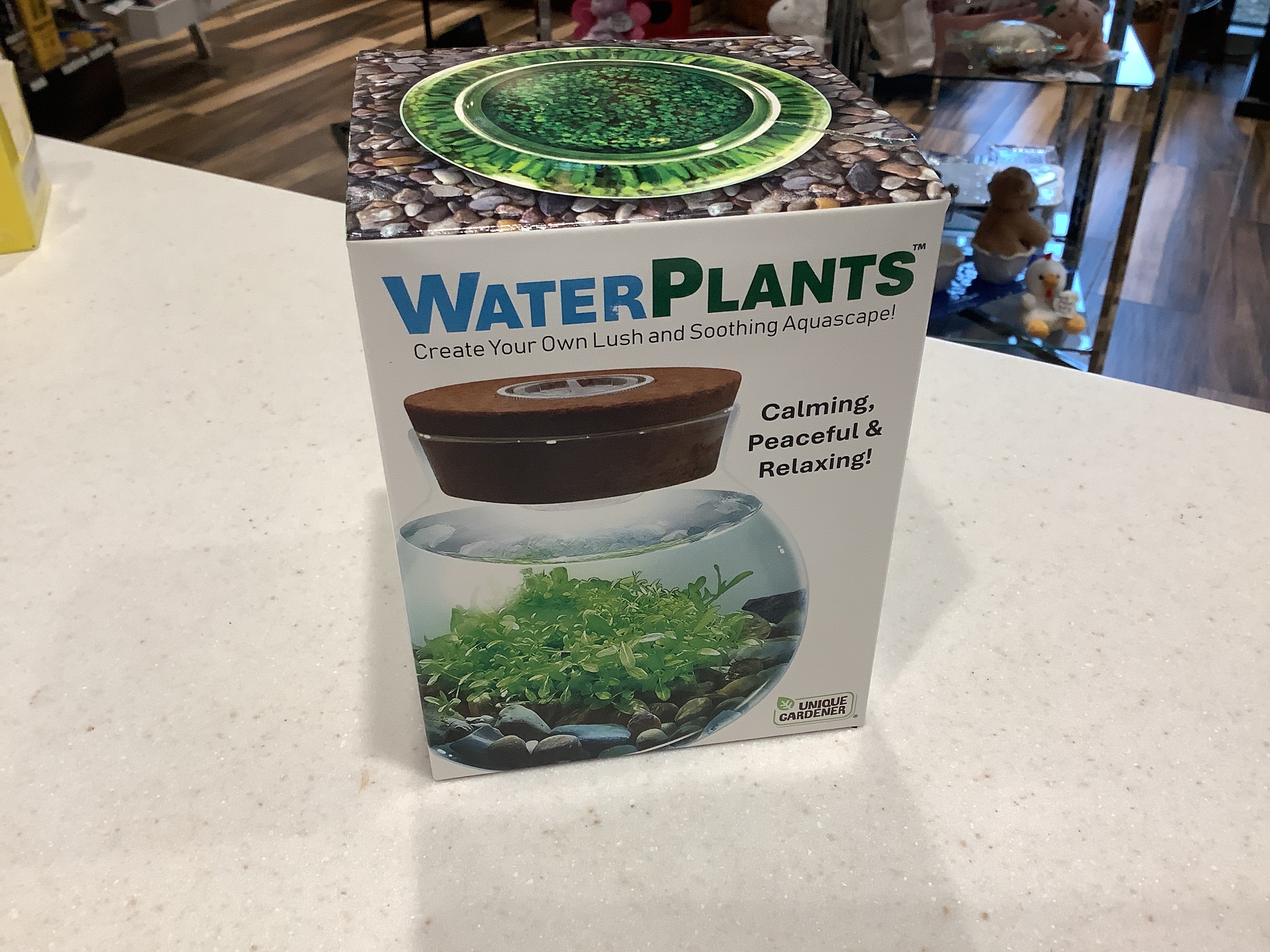 Water Plants Big