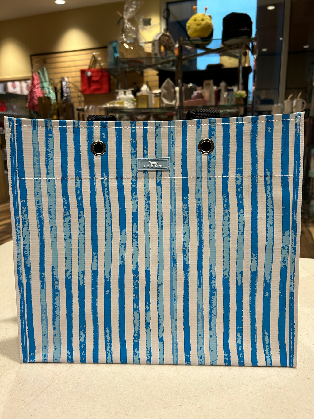 Scout Lg Package Gift Bag